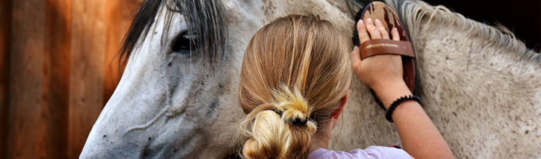 Lire la suite à propos de l’article les plaies chez le cheval : les identifier, que faire, comment traiter ?